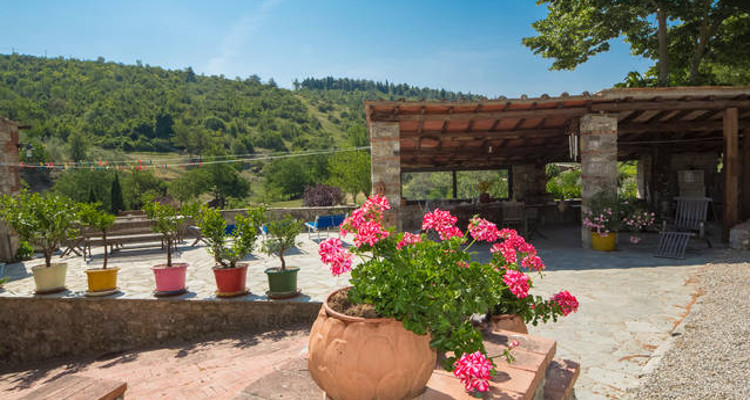 casa pineta farmhouse castellina in chianti