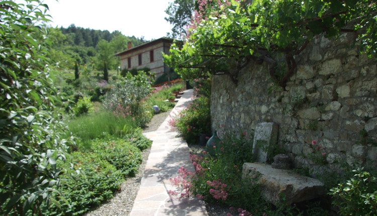 La Tana Apartment castellina in chianti