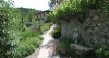 La Tana Apartment castellina in chianti